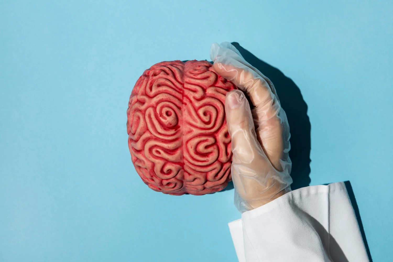 Estenosis carotídea y angioplastia con Stent en CDMX: tratamiento endovascular para la salud cerebral